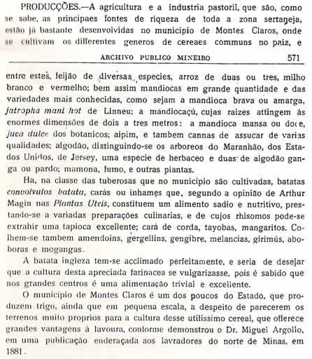 Chorografia Mineira - Décima primeira parte