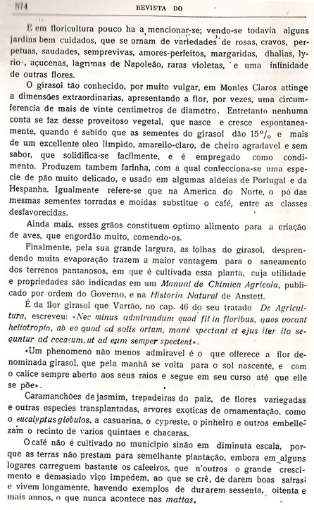 Chorografia Mineira - Décima quarta parte