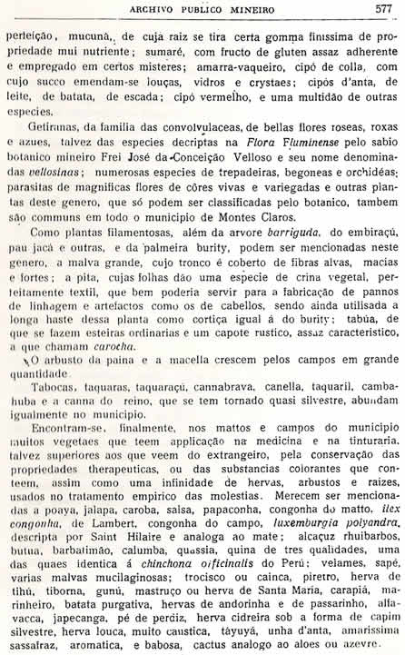 Chorografia Mineira - Décima sétima parte