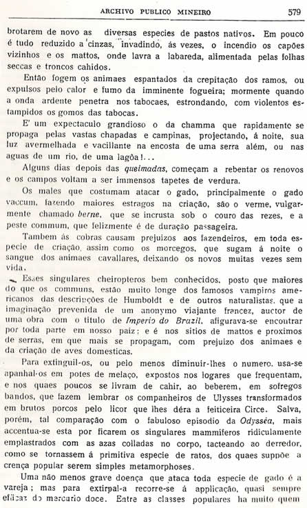 Chorografia Mineira - Décima nova parte