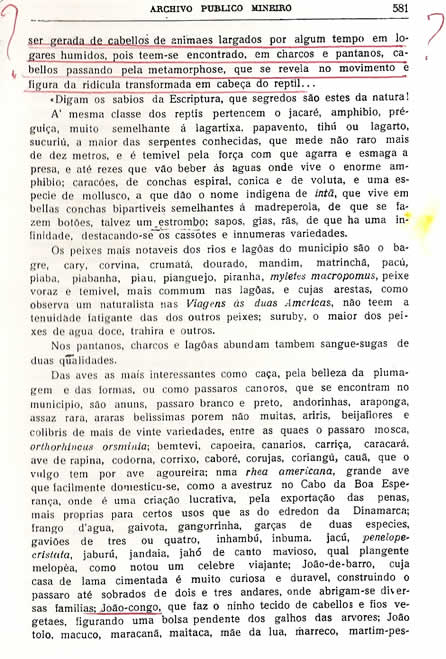 Chorografia Mineira – Vigésima primeira parte
